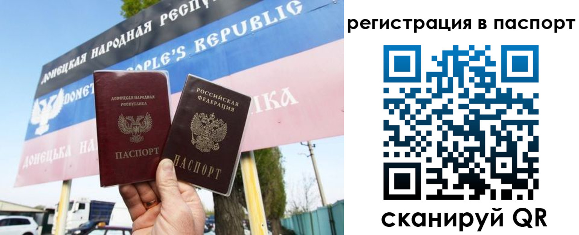 прописка поиск в Алексеевке